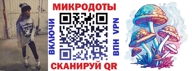 дарк нет формула Саров Галлюциногенные грибы Psilocybine cubensis закладки